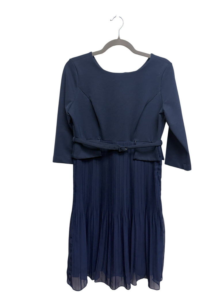 Size 6 Seraphine Blue Maternity + Nursing Long-Sleeve Dress with Pleats and Belt