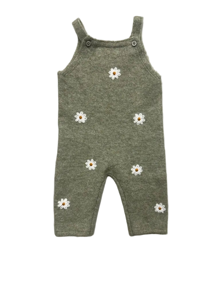 3-6 Months Zara Soft Knit Green Overalls with Daisies
