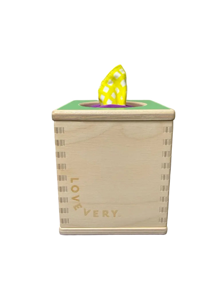 5-6+ Months Lovevery Magic Tissue Box